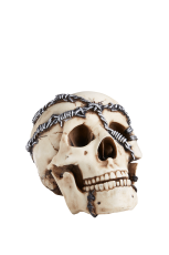 STIGMATA Schdel Stacheldraht